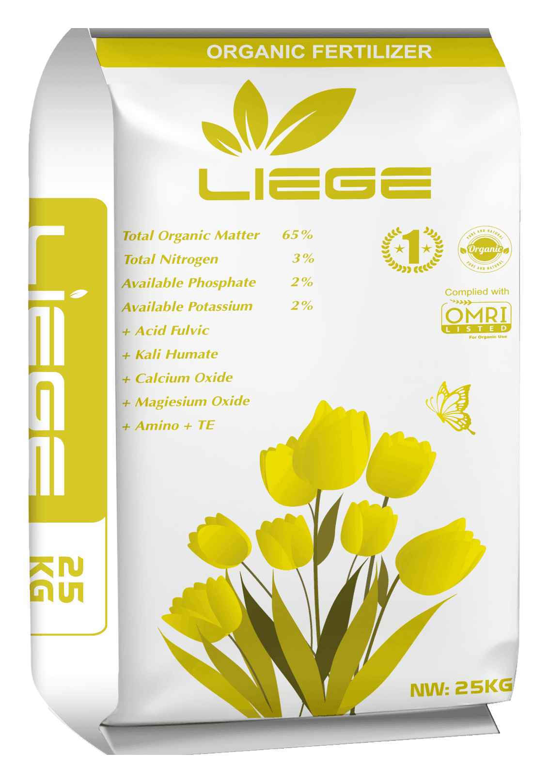 LIEGE Tulip