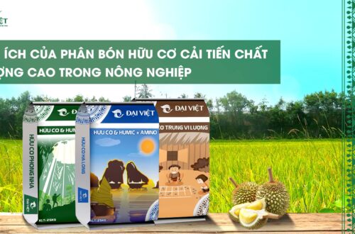 loi-ich-phan-bon-huu-co-chat-luong-cao-trong-nong-nghiep