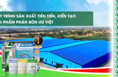 QUY TRÌNH SẢN XUẤT TIÊN TIẾN, KIẾN TẠO SẢN PHẨM PHÂN BÓN ƯU VIỆT