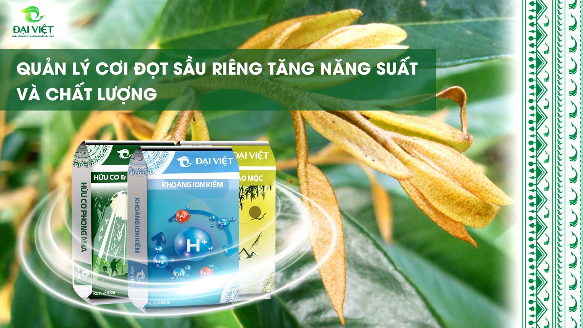 Quan-Ly-Coi-Dot-Sau-Rieng