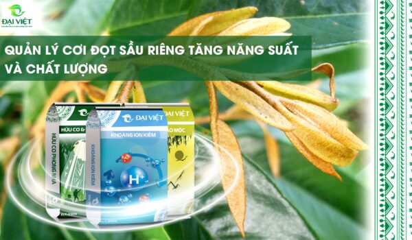 Quan-Ly-Coi-Dot-Sau-Rieng