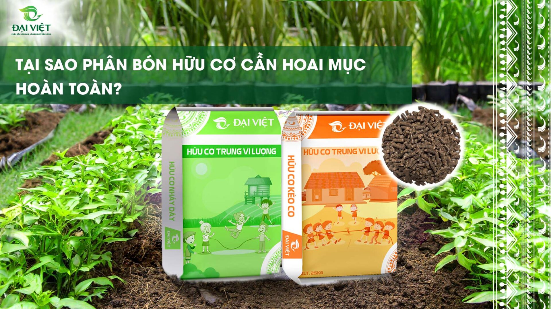 Tai-sao-phan-bon-huu-co-can-hoai-muc-hoan-toan