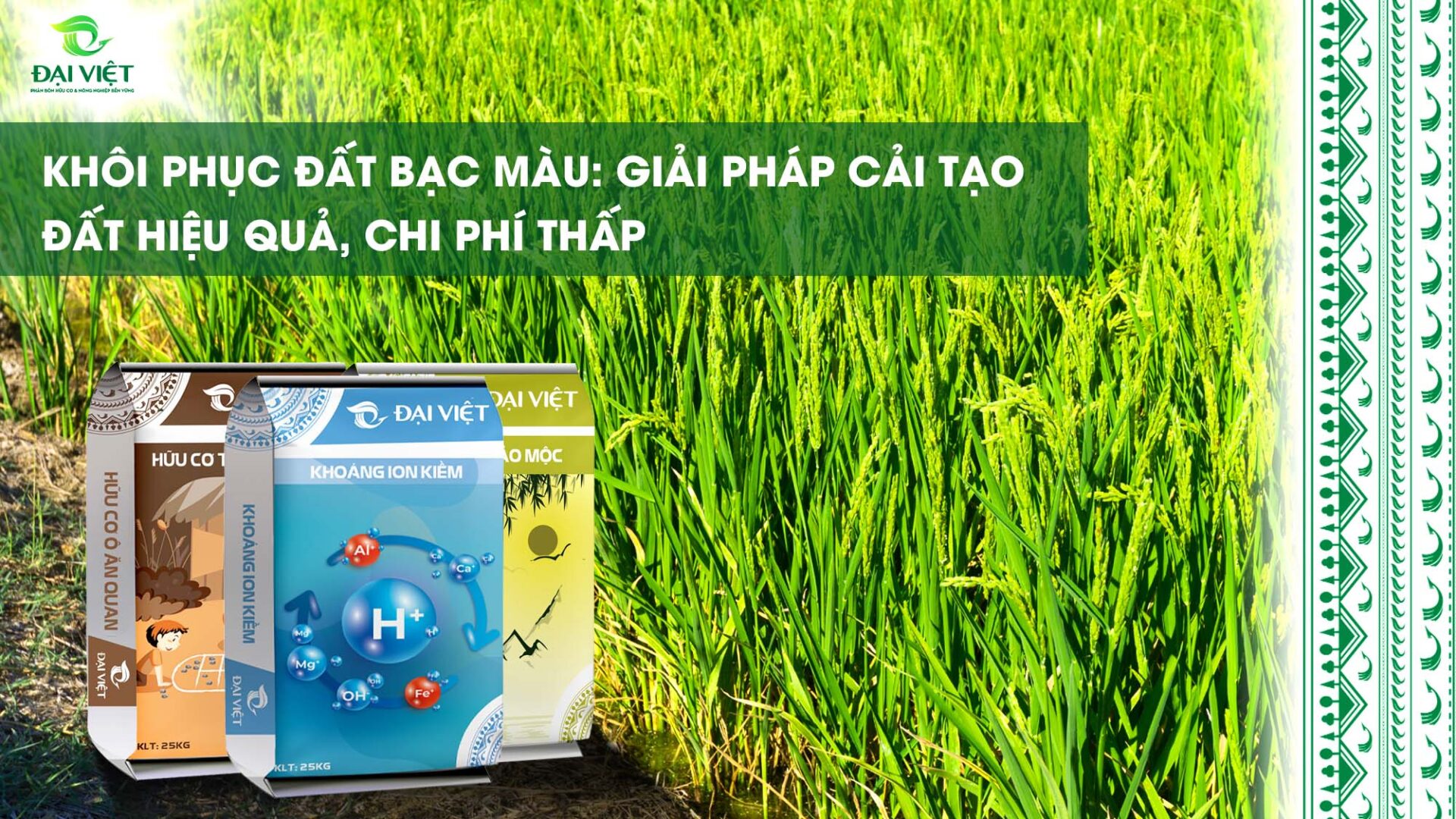 Khoi-phuc-dat-bac-mau-sau-thu-hoach