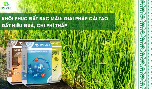 Khoi-phuc-dat-bac-mau-sau-thu-hoach